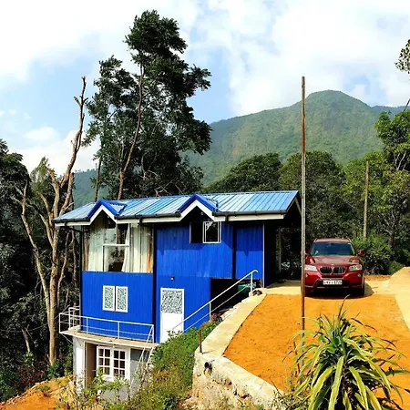 Kithul * Nuwara Eliya