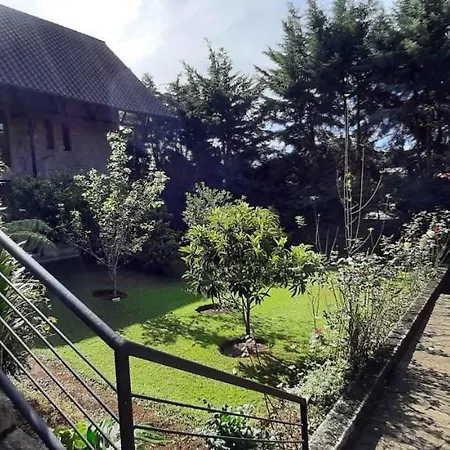 Guest house Oasis *