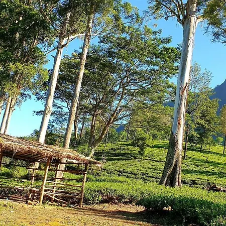 Kithul Apartment Nuwara Eliya