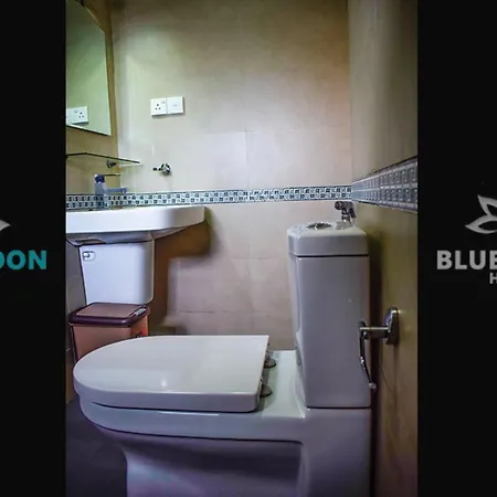 Blue Moon 3*