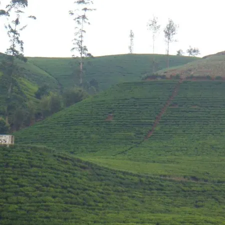 Majestic Luxury - Seagull Apartment Nuwara Eliya