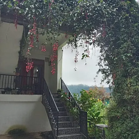 La Rose Geust House *