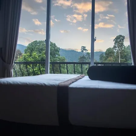 The Edgware Guest house 3*