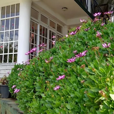 Blossomwell Nuwara Eliya