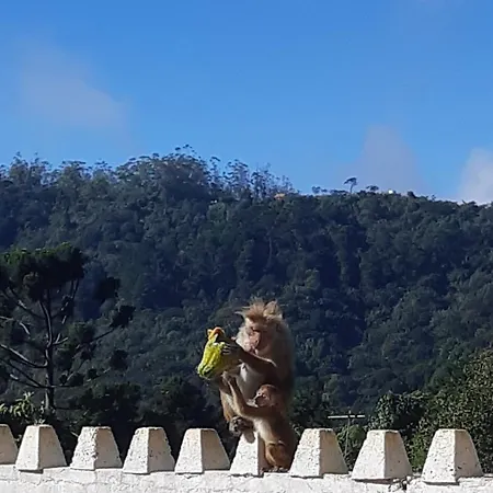 Dutch Nuwara Eliya