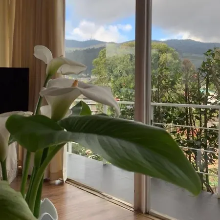 Andora 4*