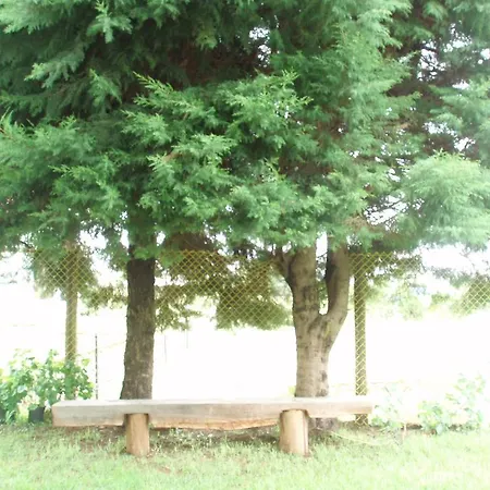 Hill View Bungalow Nuwara Eliya