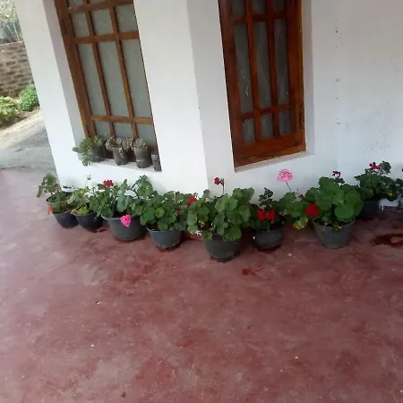 Guest house New Jayamasa Homestay