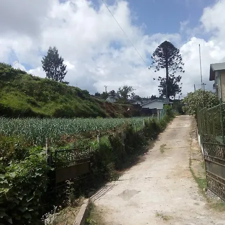 Guest house New Jayamasa Homestay *