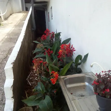 New Jayamasa Homestay *
