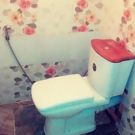 Guest house Silonya Holiday *