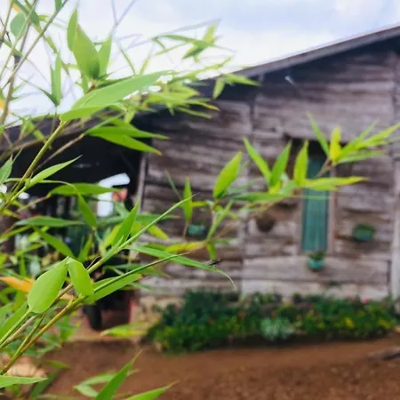 Silonya Holiday Guest house