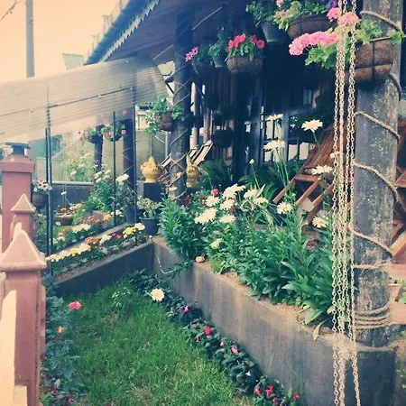 Silonya Holiday Guest house *