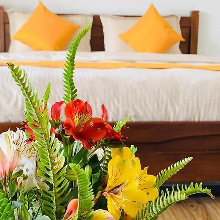 Guest house Andora