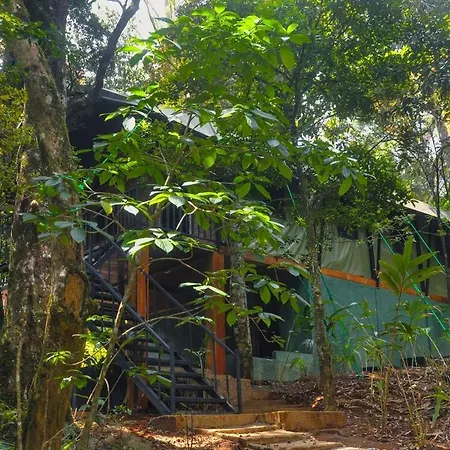 Mandaram Eco 3*