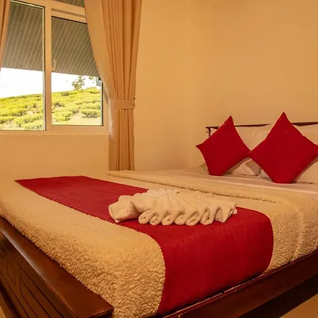 Apartment Moon Plains Luxury