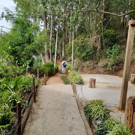 Homestay Woods Hut *