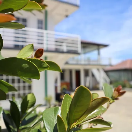 Avonvin Bed & Breakfast 3*