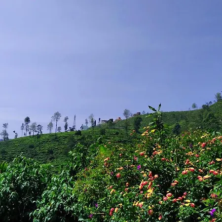 Shirin1892 Nuwara Eliya