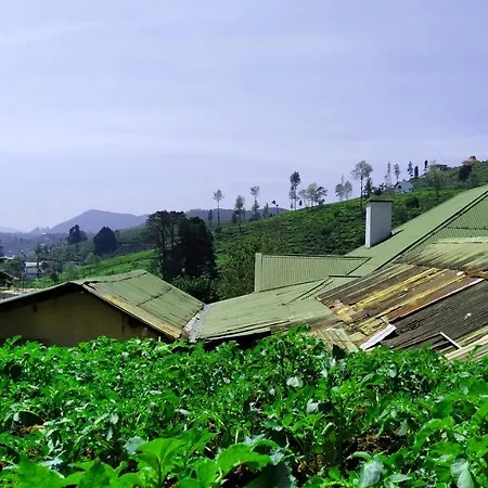 Shirin1892 Country house Nuwara Eliya