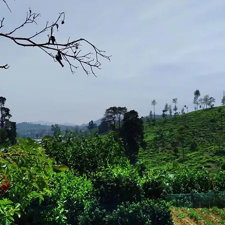 Country house Shirin1892 Nuwara Eliya