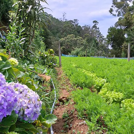 Forestside & Nuwara Eliya