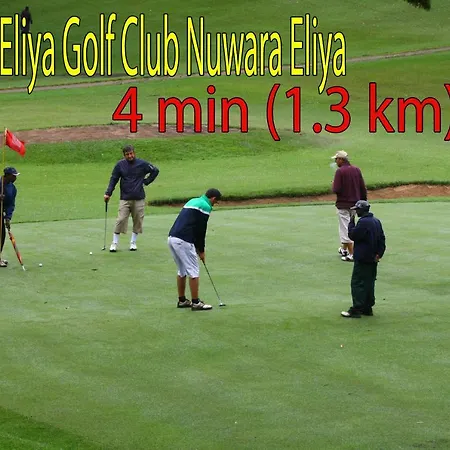 Forestside & Nuwara Eliya