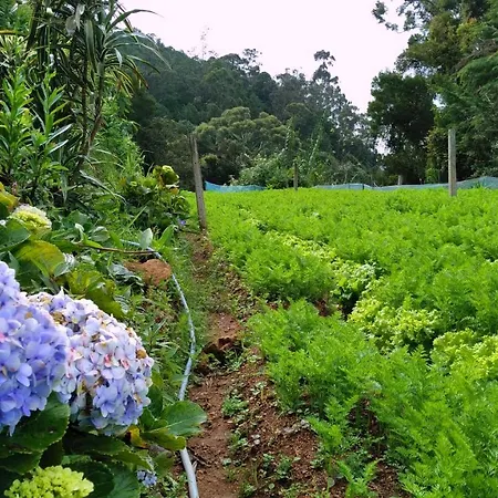 Forestside & Hotel Nuwara Eliya