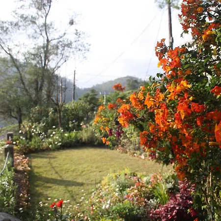 Bezel Nuwara Eliya