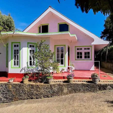 Homestay Mountain View
