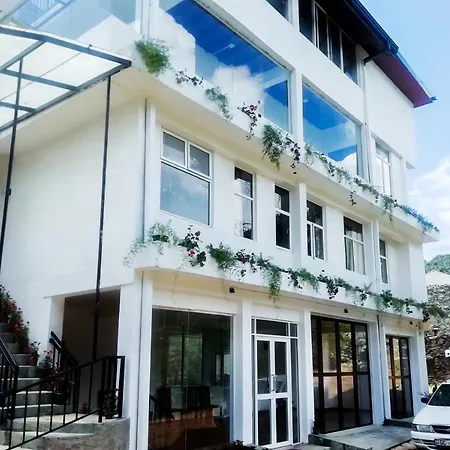 Hotel Tea Mount Forest