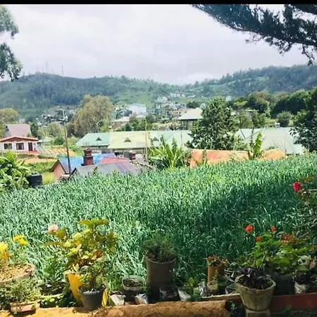 Green Cottage Guest house *