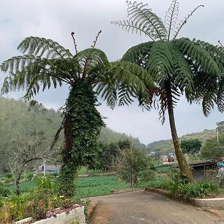 Acme Divine View * Nuwara Eliya