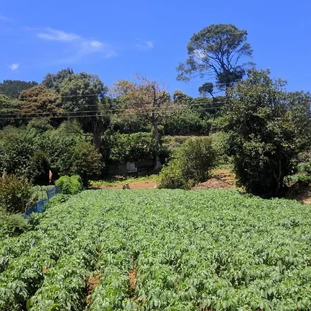 Acme Divine View Guest house Nuwara Eliya