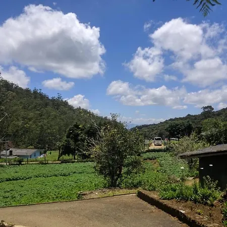 Acme Divine View *