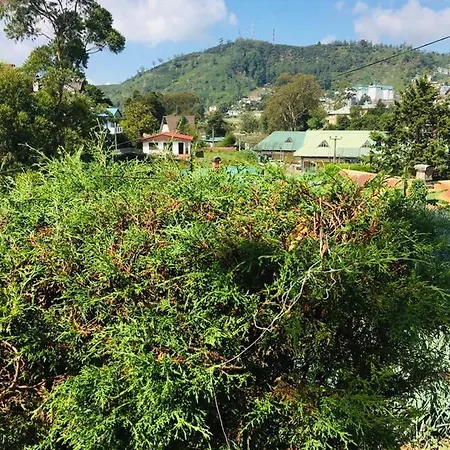 Green Cottage