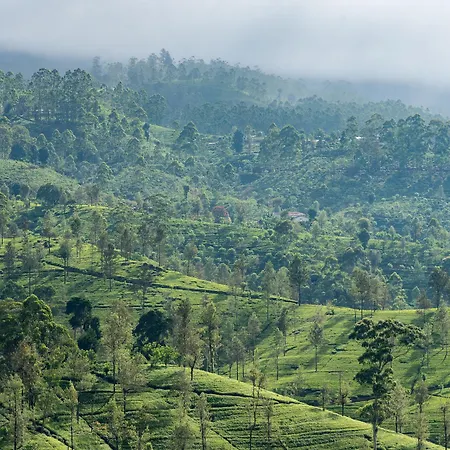Langdale Boutique By Amaya Nuwara Eliya