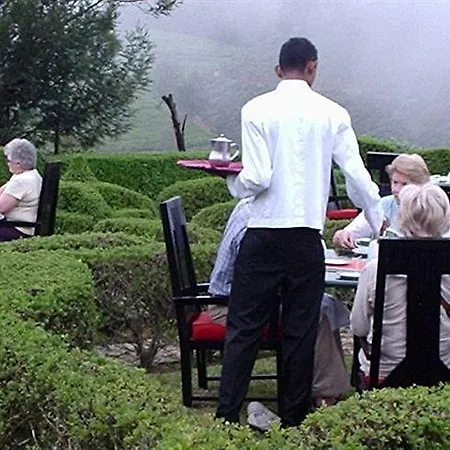 Heritance Tea Factory (adults Only) Hotel Nuwara Eliya