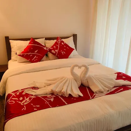 Andora Guest house 4*