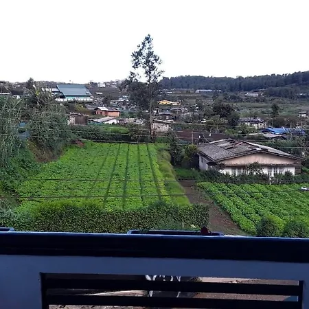 The New View