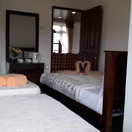 The New View Guest house *