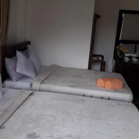 Guest house The New View *