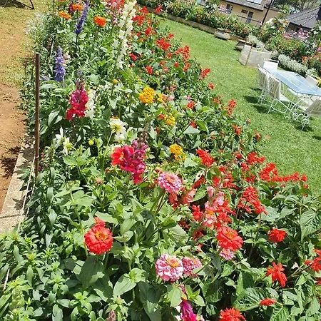 The Planter's Legacy By Fairway *