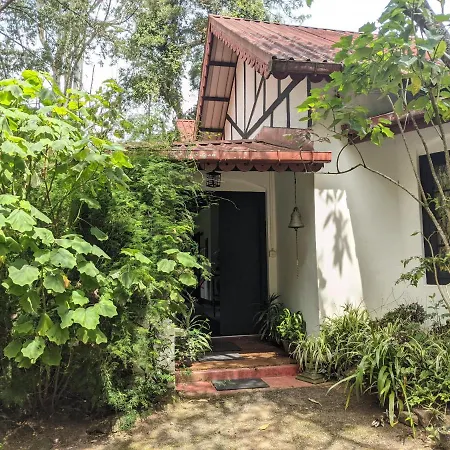 Guest house Selwood