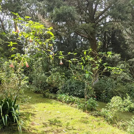 Guest house Selwood