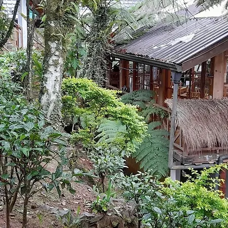 Hotel Kingfern *