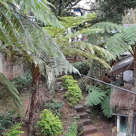 Kingfern Nuwara Eliya