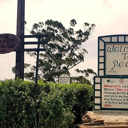 Hotel Dover Nuwara Eliya