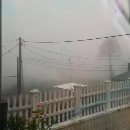 Winter Dream * Nuwara Eliya