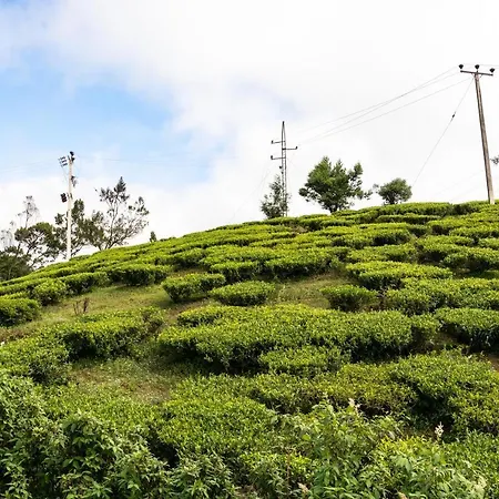 Lakeville Nuwara Eliya